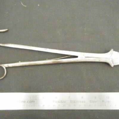 Pointed Spreader "steffert buffalo"