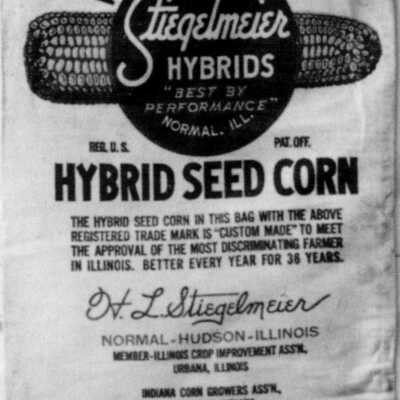 Stiegelmeier Seed Bag