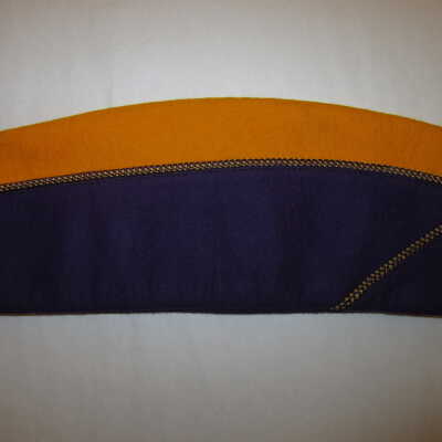 Hudson Lions Hat