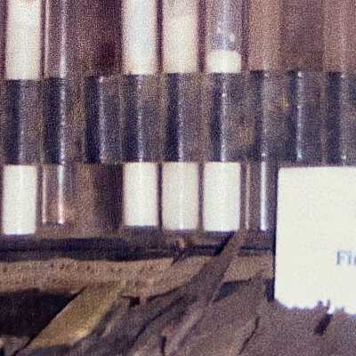 Dr. Silas Hubbard's Medicines