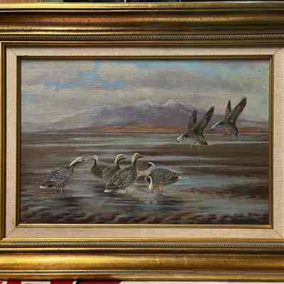 Geese
