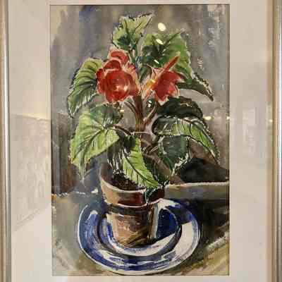 Begonia