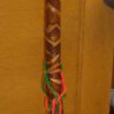 Walking stick