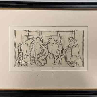 Milking the cows