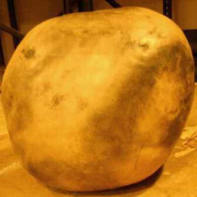 Burnished Egg