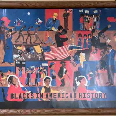 Blacks in American History