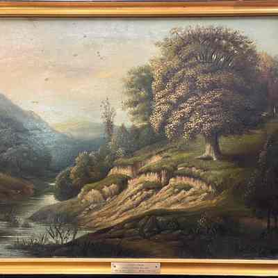 Tree by Stream