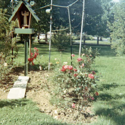 St. Francis Hospital Rose Garden