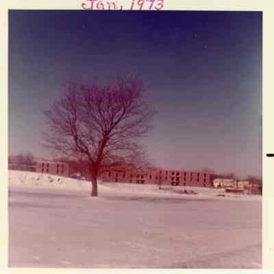 Construction of Marian Park