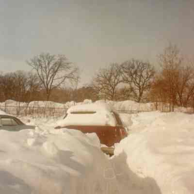 Marian Park