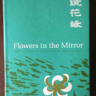 Flowers in the mirror