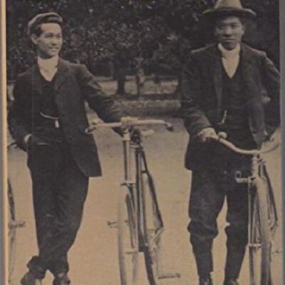 After the rush : regulation, participation and Chinese communities in Australia 1860-1940
