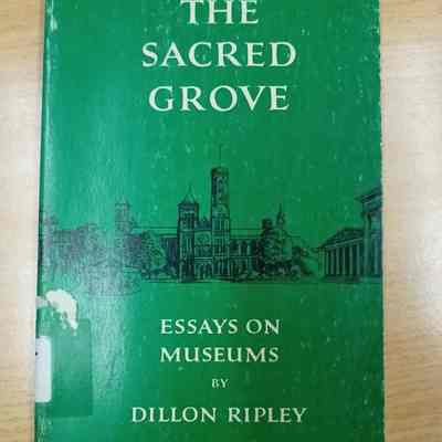 The sacred grove : essays on museums