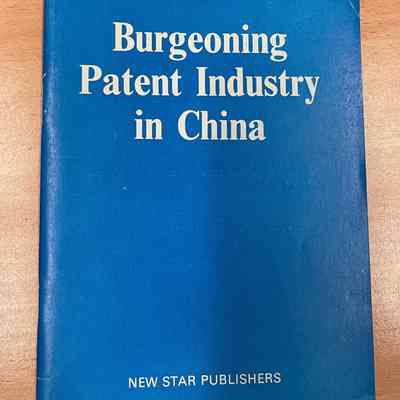 Burgeoning patent industry in China