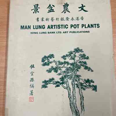Man Lung Artistic Pot Plants