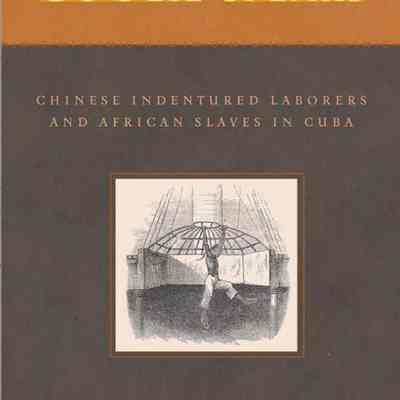 The coolie speaks : Chinese indentured laborers and African slaves in Cuba