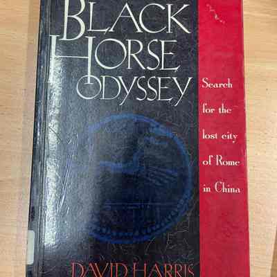 Black horse odyssey : search for the lost city of Roma in China