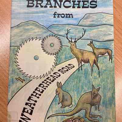 Branches from Weatherhead Road