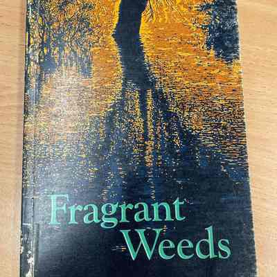 Fragrant weeds : Chinese short stories once labelled as "Poisonous weeds"