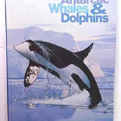Antarctic whales and dolphins : Australia's heritage in stamps