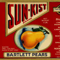Label: Sun-Kist Brand Bartlett Pears