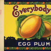Label: Everybody