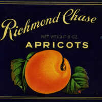Label: Richmond Chase Apricots