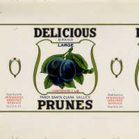 Label: Delicious Brand Large Fancy Santa Clara Valley Prunes