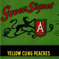 Label: Green Signet Yellow Cling Peaches