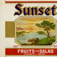 Label: Sunset Fruits for Salad