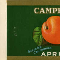 Label: Campbell Selected Californian Apricots 8oz