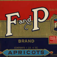 Label: F and P Apricots