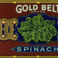 Label: Gold Belt Brand Spinach