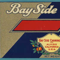 Label: BaySide Brand (Blank)