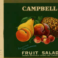 Label: Campbell Fruit Salad