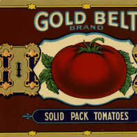 Label: Gold Belt Brand Solid Pack Tomatoes