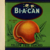 Label: Bi-A-Can Yellow Free peaches