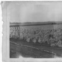 The Santa Clara Valley