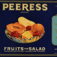 Label: Peeress Fruits For Salad
