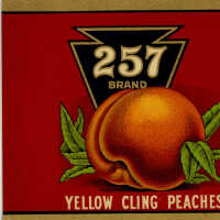 Label: 257 Brand Yellow Cling Peaches