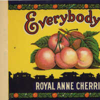 Label: Everybody