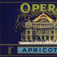 Label: Opera Apricots
