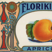 Label: Florikin Brand Apricots