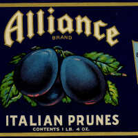 Label: Alliance Brand Italian Prunes