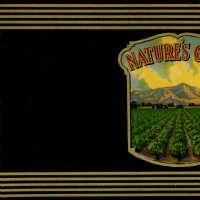 Label: Nature
