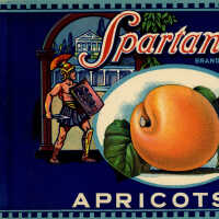 Label: Spartan Brand Apricots