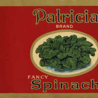 Label: Patricia Spinach