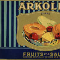 Label: Arkollo Brand Fruits for Salad