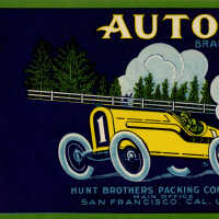 Label: Auto Brand Yellow Cling Peaches - Below U.S. Grade