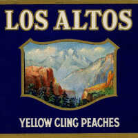 Label: Los Altos Yellow Cling Peaches
